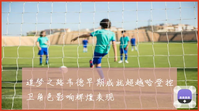 追梦之路韦德早期成就超越哈登控卫角色影响辉煌表现